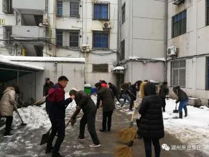 抗雪特輯 | 致大雪中可愛的房總人！